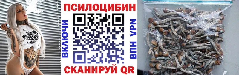 Галлюциногенные грибы Psilocybe Ессентукская