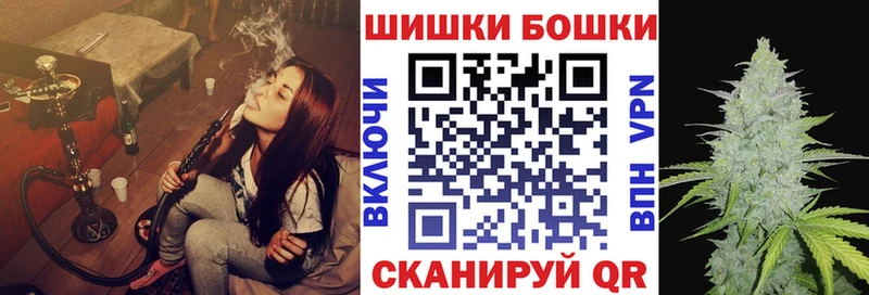 Шишки марихуана сатива  Ессентукская 